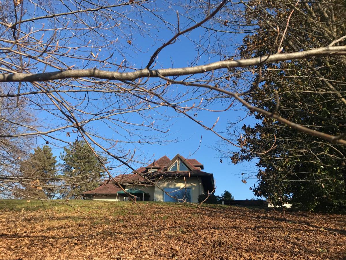 Lessona Casa Regis Bed & Breakfast エクステリア 写真